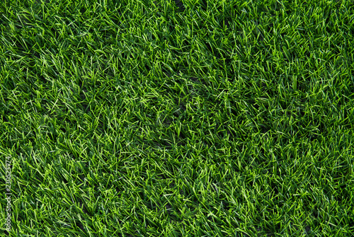 Artificial green grass texture background top view.