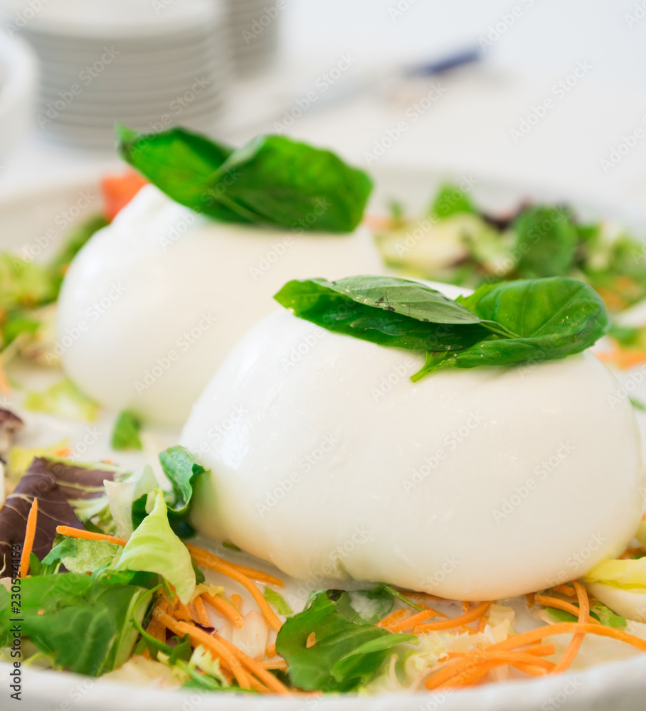 Mozzarella with basil and salad Mozzarella with basil and salad