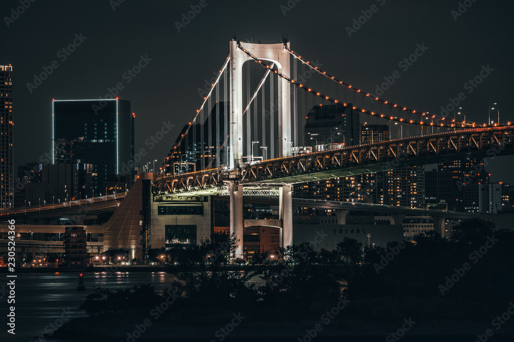 Fototapeta premium The Rainbow Bridge of Tokyo lit up at night. Capital city of Japan