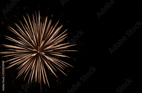 White starburst firework in black sky on the Fourth of July