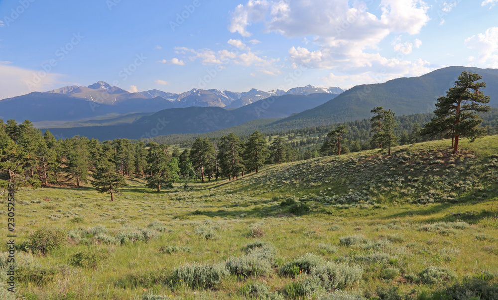 A meadow in the valley just below Deer Ridge Junction, in Rocky Mountain National Park, Colorado, USA.
