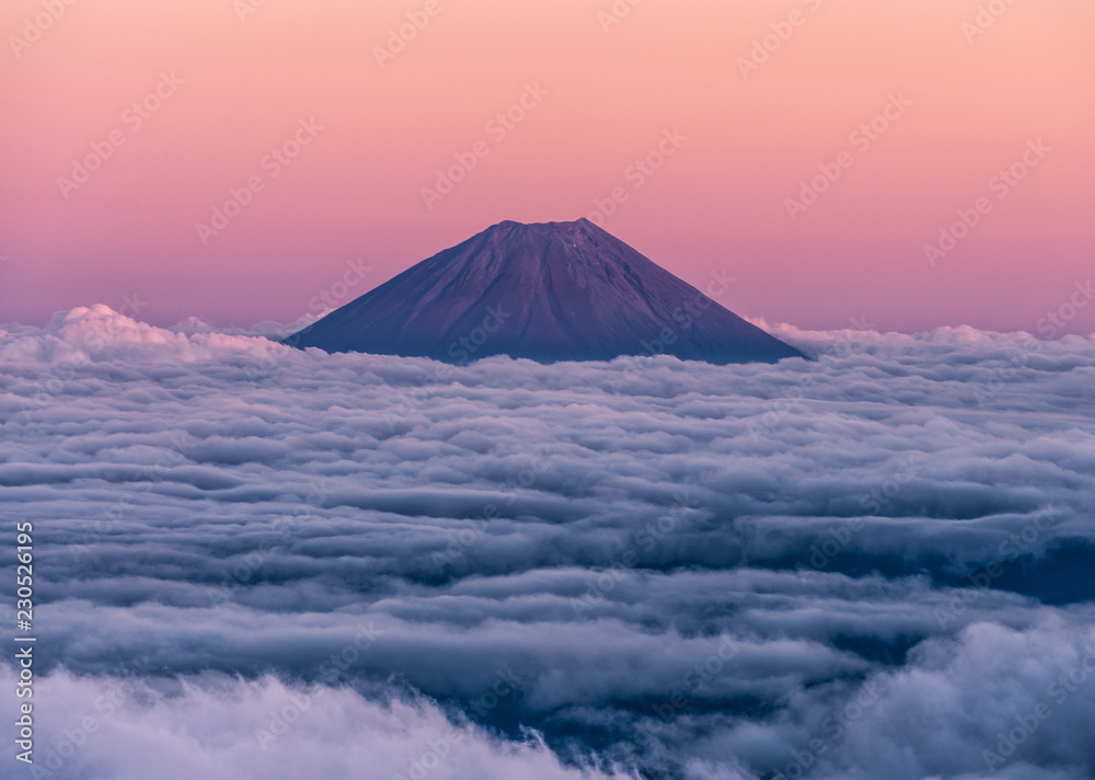 Beautiful volcano, Mt. Fuji, rising above an ocean of clouds at sunset.  Taken from the summit of Mt. Kita.  Mountains of Japan.