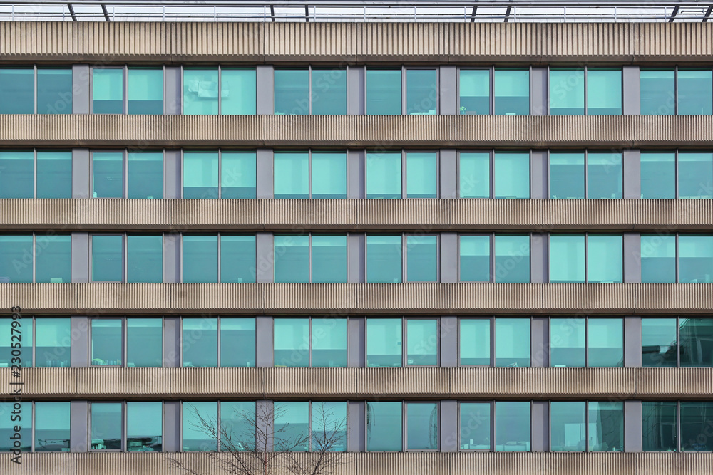 Green Windows Green Windows