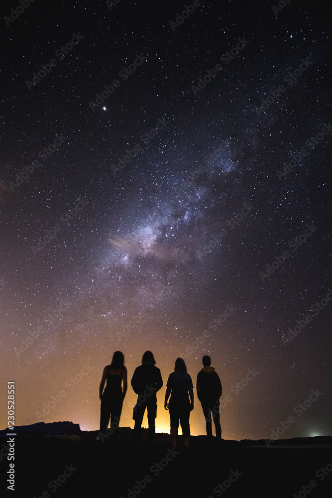 silhouette of people looking into the night sky