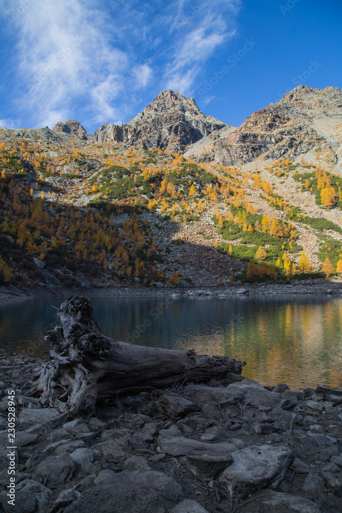 Fototapeta premium Riflessi al lago