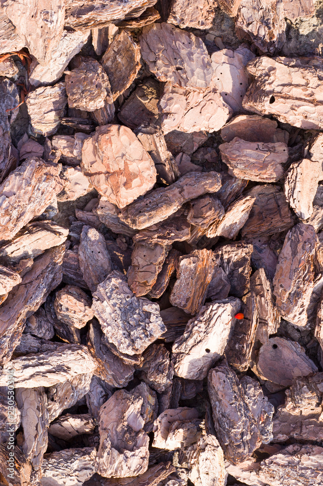 wooden chips mulch on the ground texture. background. wooden chips mulch on the ground texture. background.