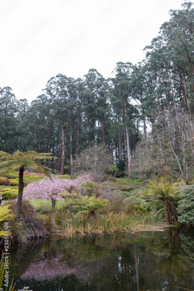 View of plantation around lake under overcast sky.