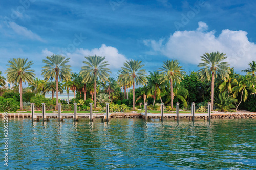Palm trees by water in Biscayne Bay near Miami, USA