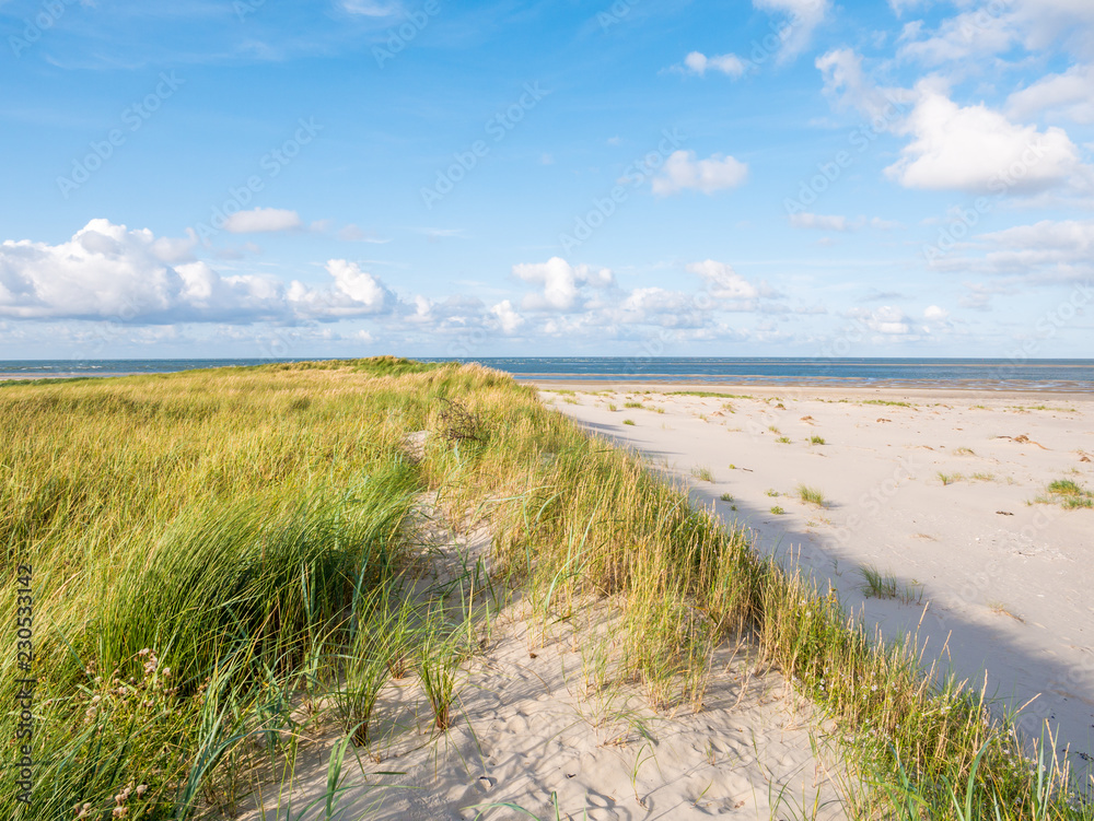 View to North Sea from dunes with marram grass and beach of nature reserve Boschplaat on Terschelling, Netherlands View to North Sea from dunes with marram grass and beach of nature reserve Boschplaat on Terschelling, Netherlands