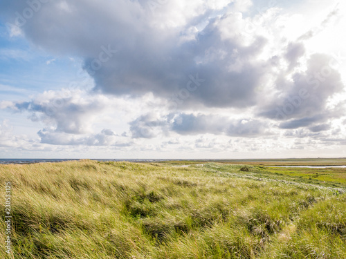 View from Boschplaat with salt marshes and dunes on Terschelling island to tidal flats at low tide of Waddensea, Netherlands