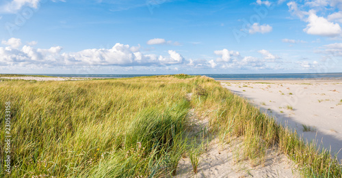 View to North Sea from dunes with marram grass and beach of nature reserve Boschplaat on Terschelling, Netherlands photo