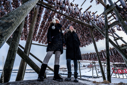 Women tourists admiring the racks of cod fish in Reine, Norway.  Lofoten Islands