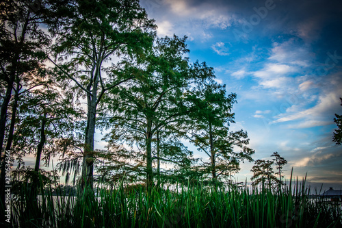 Lake Bruin Louisiana