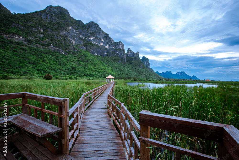 Backgrounds of green pastures, high mountains, large surrounds, natural wallpapers close. There is a long wooden bridge overlooking the surrounding scenery.