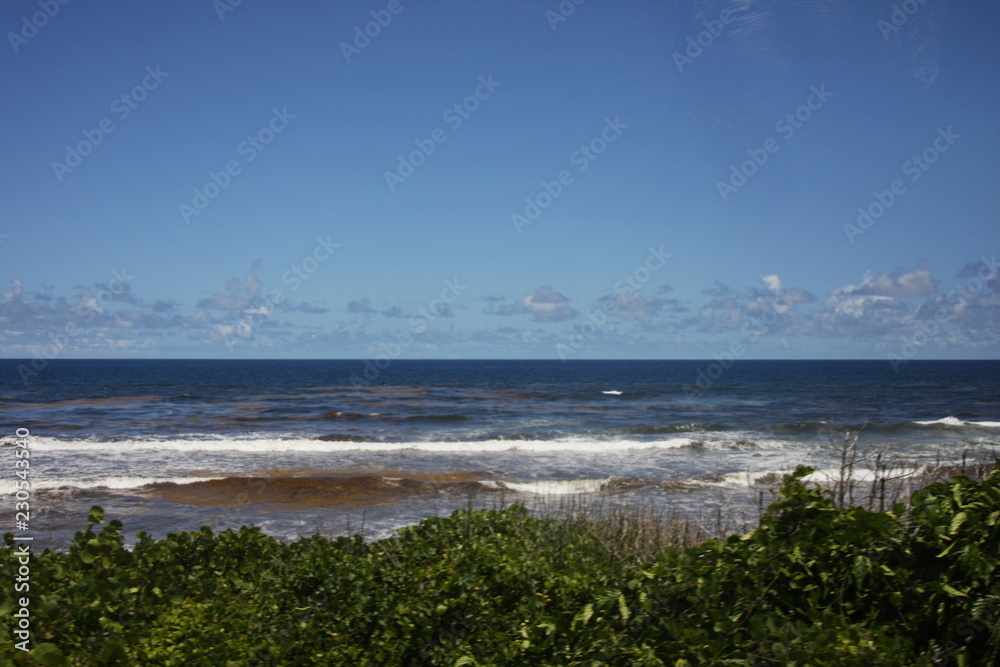 Waves in Barbados