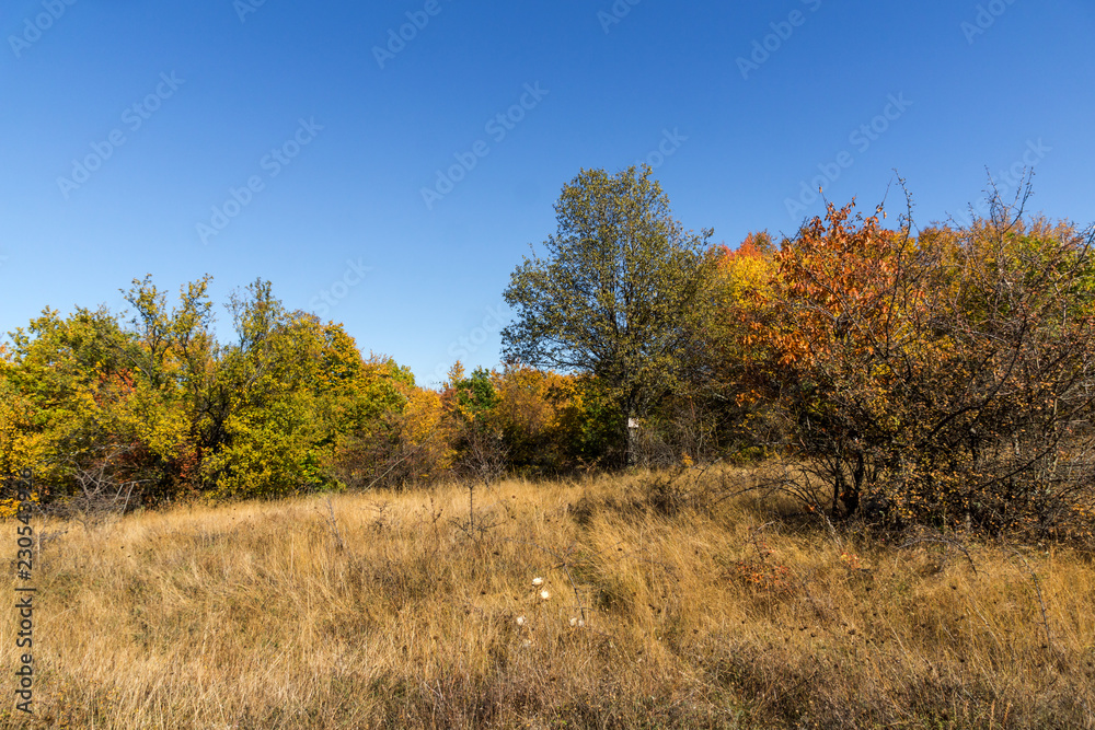 Amazing Autumn Panorama of Cherna Gora (Monte Negro) mountain, Pernik Region, Bulgaria Amazing Autumn Panorama of Cherna Gora (Monte Negro) mountain, Pernik Region, Bulgaria