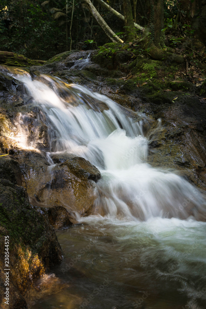 Obraz premium A Little Waterfall In A Forest