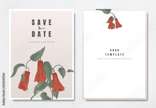 Fototapeta Naklejka Na Ścianę i Meble -  Botanical wedding invitation card template design, red Lapageria rosea flowers with leaves on light pink background, minimalist vintage style