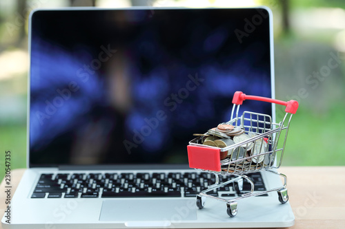 trolley and coins with human hand on computer, idea for shopping and online payment using as business background.