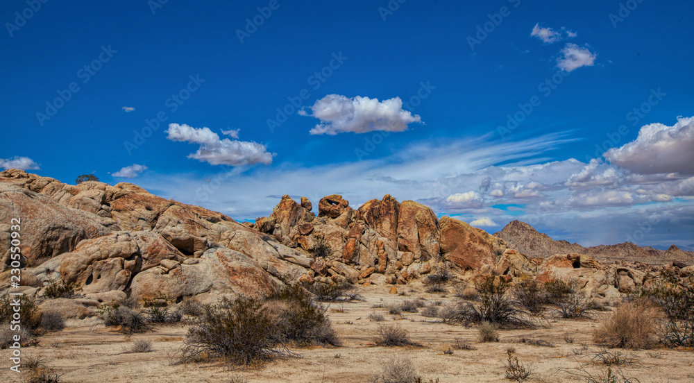 Rocky Desert Vista, Joshua Tree National Park