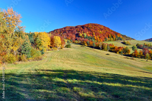 Colors of the fall. Mountains autumn landscape, Low Beskids (Beskid Niski),