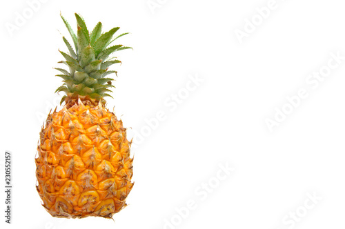 The fresh ripe pineapple isolated on white background with space for text.