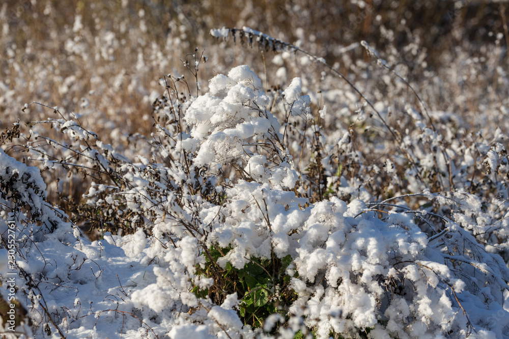 between autumn and winter