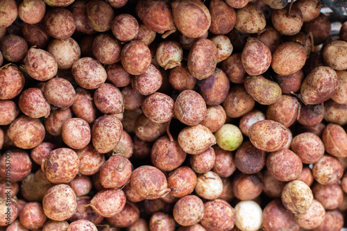 Bambara groundnut or peanut of Thailand , Top view photo