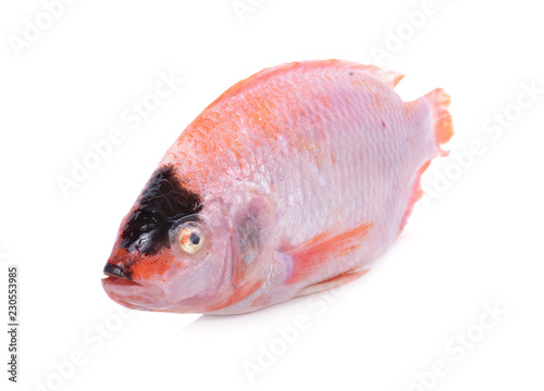 whole round fresh red tilapia or Tub-tim fish on white background