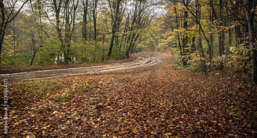 The concept of autumn. A long-distance Dirt road after a rain in the autumn forest covered with fallen yellow leaves
