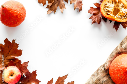 Composition with autumn vegetables and leaves in red and orange colors. Brown dried leaves, pumpkin, apple on white background top view copy space frame