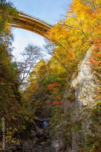 Narukokyou Autumn Leaves photo