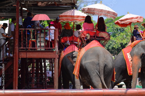 Photography Riding Elephants: Ayutthaya, Thailand