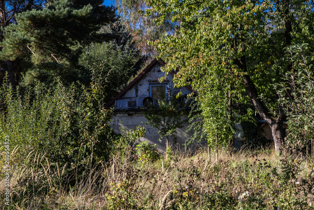 Verwildertes Haus im Grünen