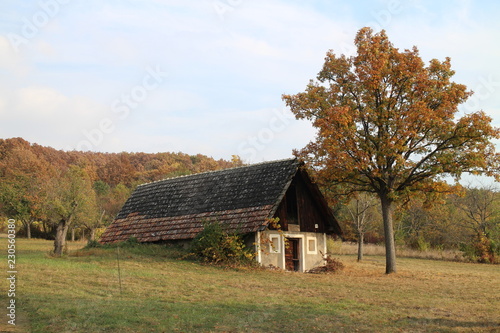 Small house with wine cellar near Batovce dam, in Levice region, Slovakia