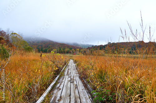 秋の八幡平大沼の紅葉情景