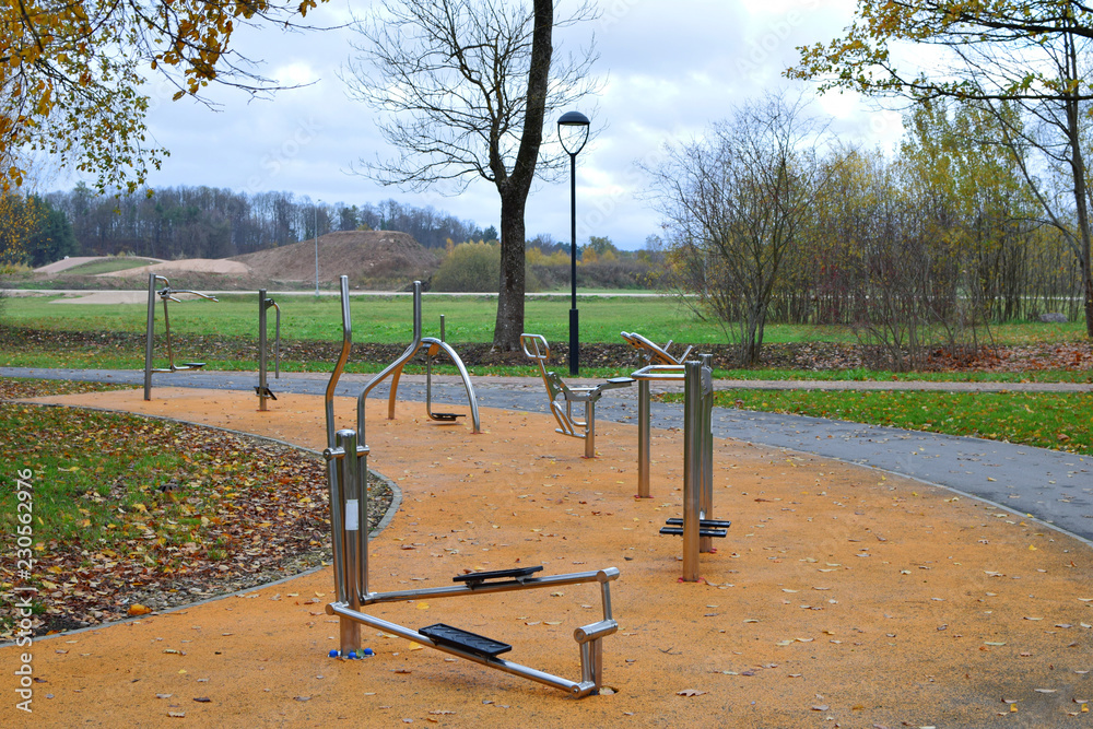 Different metal outdoor gym training machines for street workout standing outside in park in cold autumn morning. Different metal outdoor gym training machines for street workout standing outside in park in cold autumn morning.