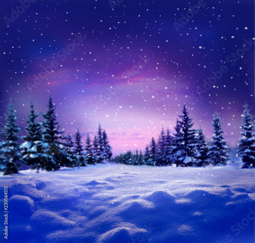 Beautiful winter night  landscape with snow covered trees.Christmas background . Happy New Year greeting card with copy-space. © Lilya