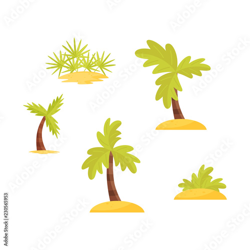 Flat vector set of bright green palms trees and bushes on sand. Tropical plants. Decorative elements for aqua park