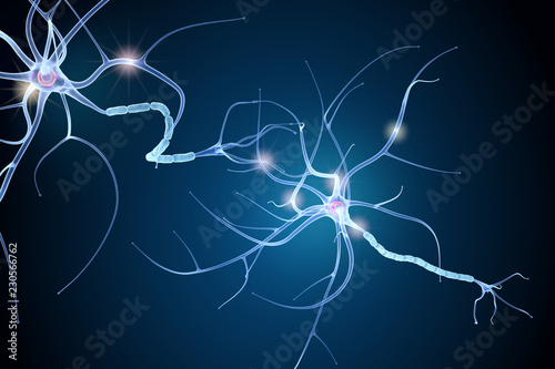 Fototapeta Naklejka Na Ścianę i Meble -  Nerve cell anatomy in details. 3D illustration