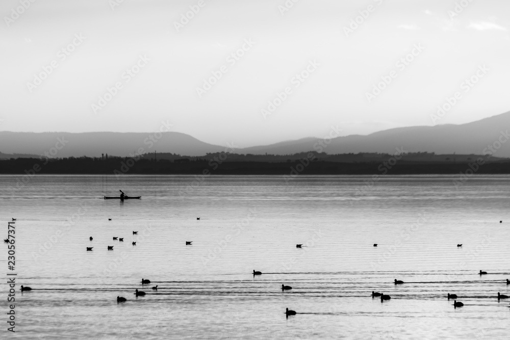 Beautiful view of Trasimeno lake at sunset with birds on water, a man on a canoe and hills on the background Beautiful view of Trasimeno lake at sunset with birds on water, a man on a canoe and hills on the background