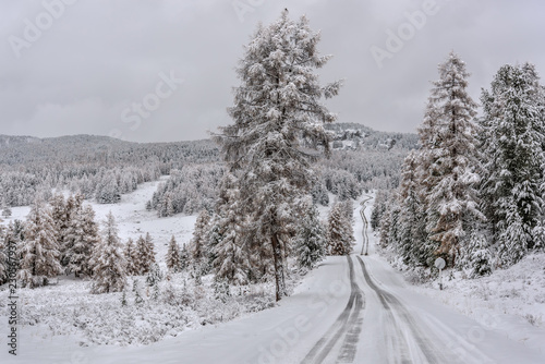 road snow mountains forest autumn snowy