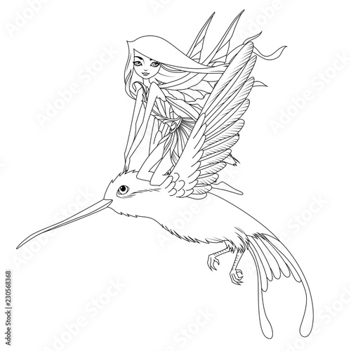 Coloring book: Cute fairy with pink long hair flying a colibri