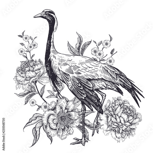 Realistic hand drawing of crane and beautiful peonies isolated on white background.