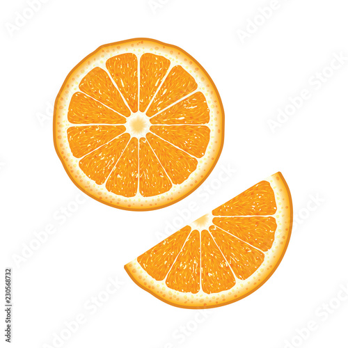 Orange isolated and half cut orange. Vector