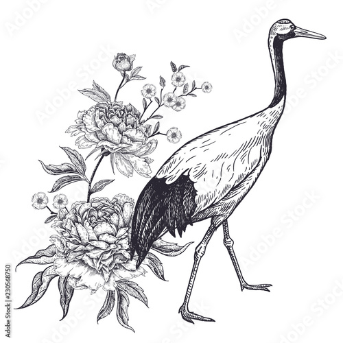 Realistic hand drawing of Japanese crane and peonies isolated on white backgr...