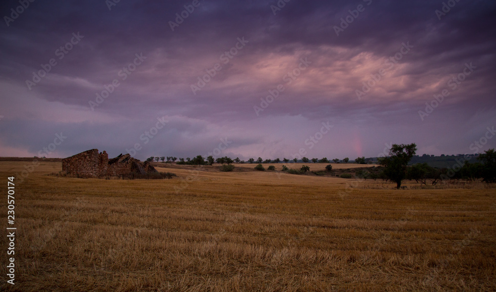 Fototapeta premium paisaje natural con cielo