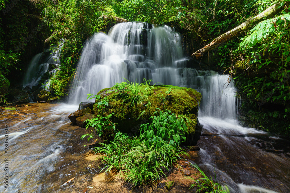 Obraz premium Smooth falling water