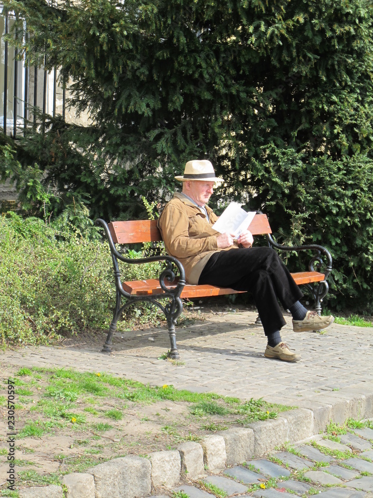 senior couple sitting on a bench in park senior couple sitting on a bench in park