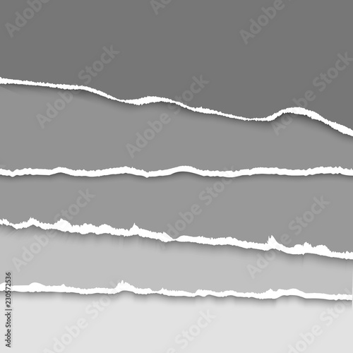 Vector background with collection of gray colors torn paper. Realistic paper stripes with ripped edges.